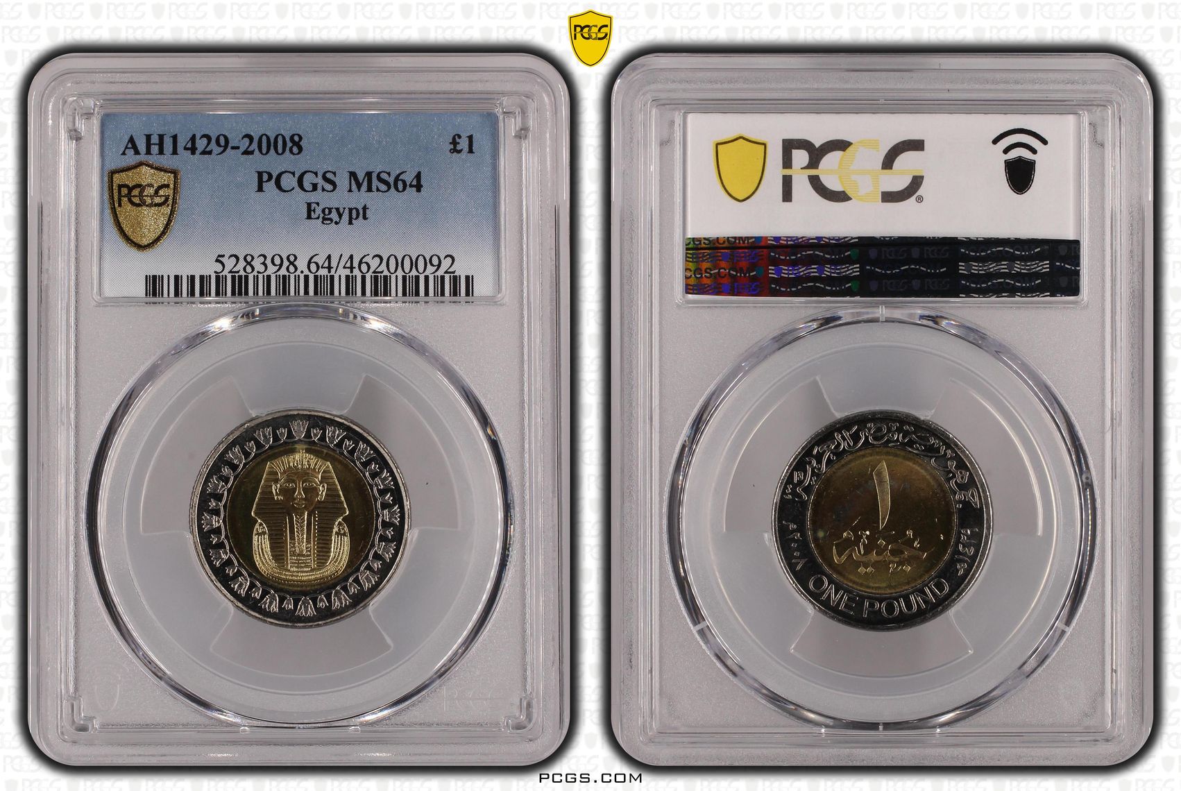 Egypt, POP 1/0, One Pound, AH1429-2008, PCGS MS64