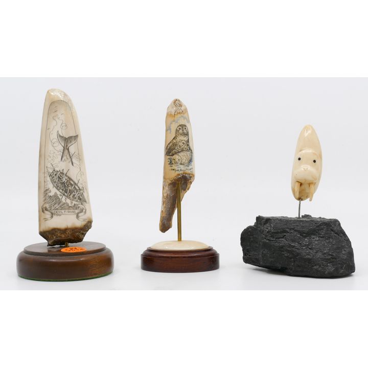 3pc Scrimshawed Tusk Fragments on Stands Largest 6''