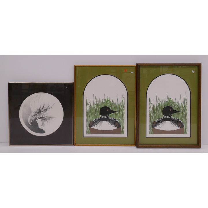 3pc Bird S/N Framed Lithographs- largest 25x19''