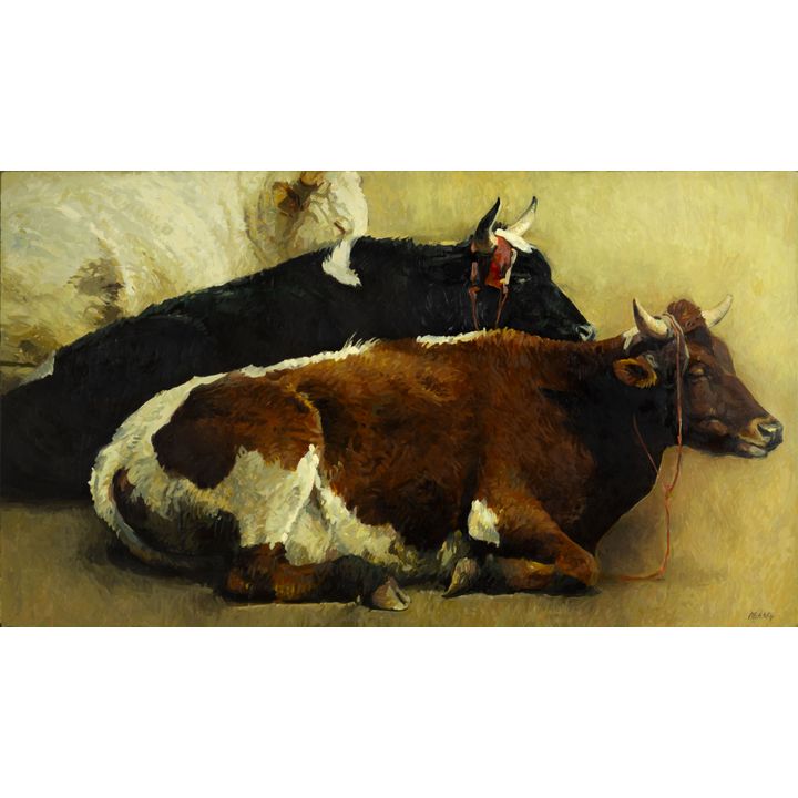 Richard Murray (1948- ), Three Cows