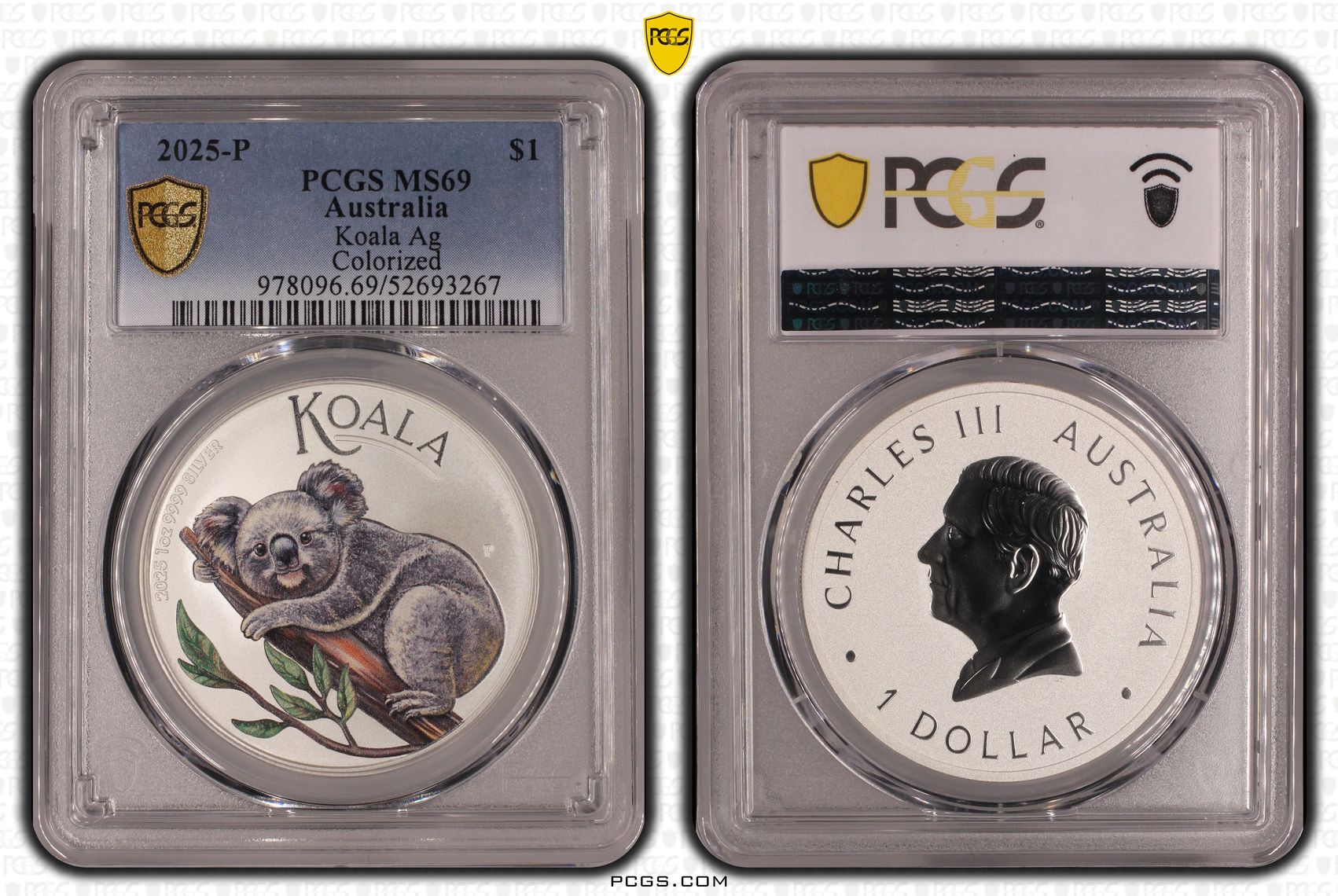 Koala Silver - Colourised ANDA Brisbane Money Expo, One Dollar, 2025-P, PCGS MS69