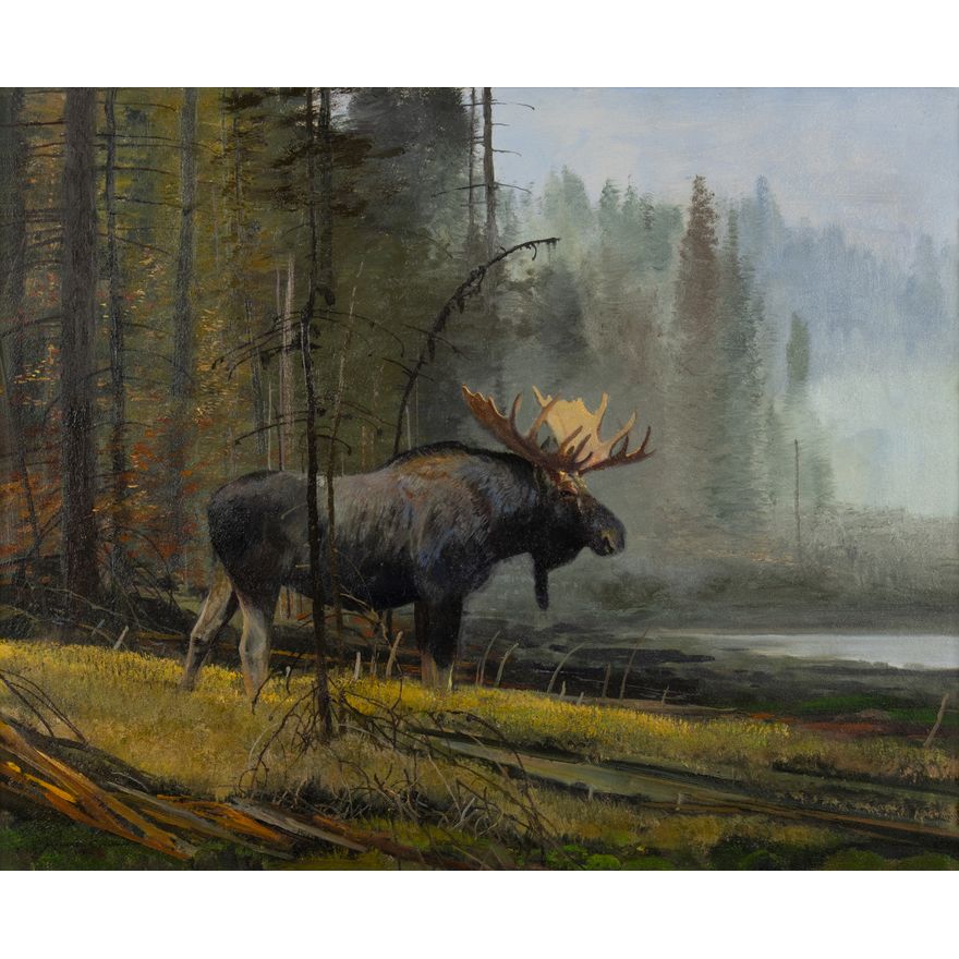 Michael Coleman (1946- ): In the Mist - Bull Moose