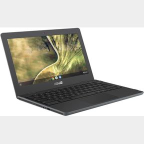 Asus Chromebook Celeron N4020 4GB 32GB 11.6 HD Notebook Grey|