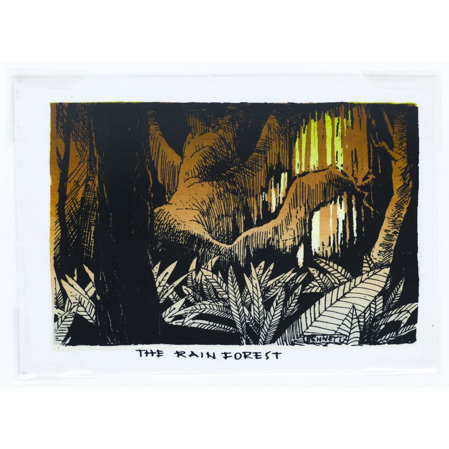 Elton Bennett ''The Rain Forest'' Signed Serigraph Sheet 5''x6.25''