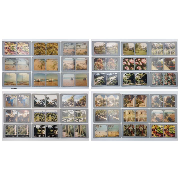 Stereograph Cards - Darwin (x36)