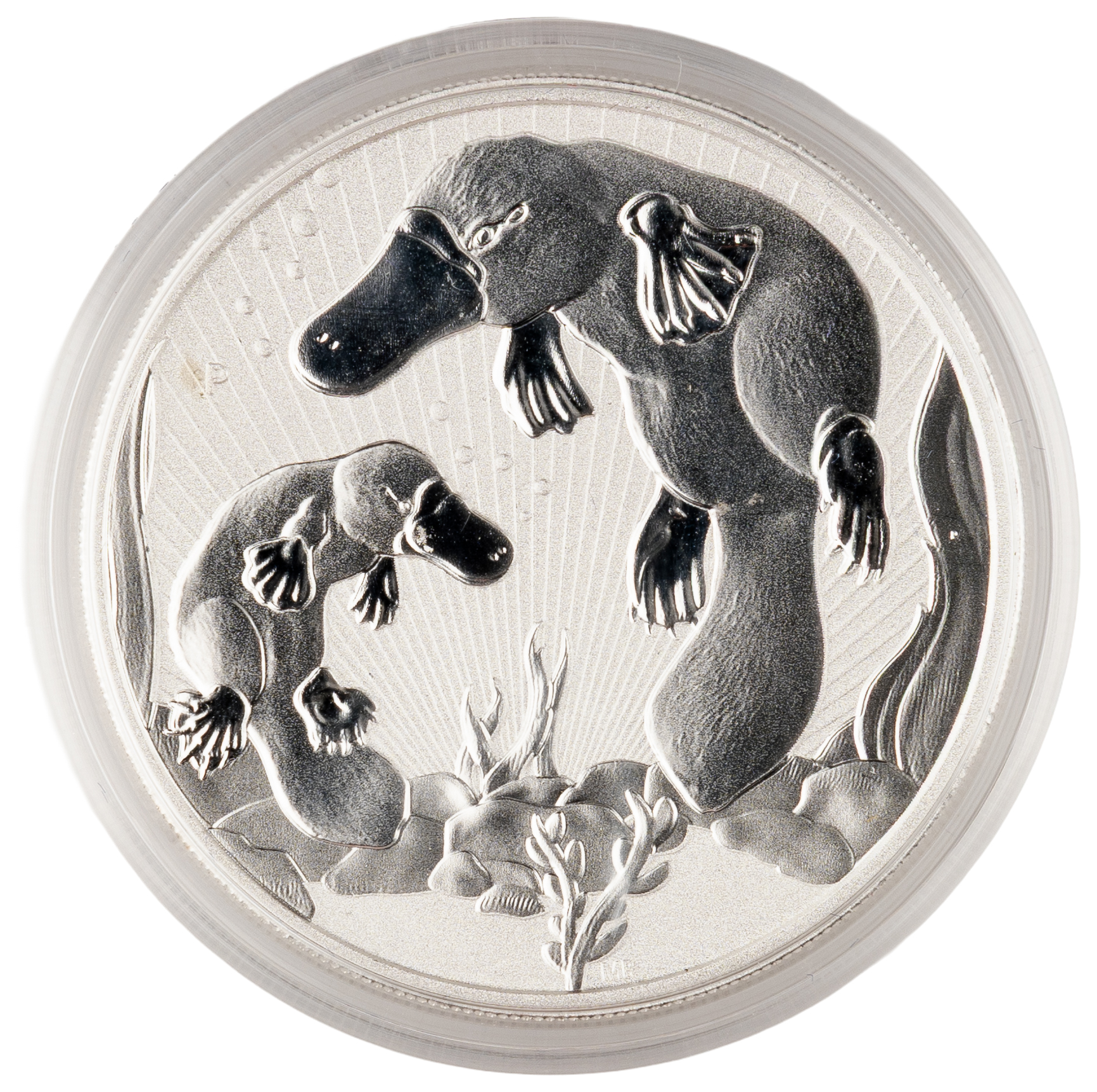 Elizabeth II, Perth Mint - Australian Platypus, Mother & Baby, Two Dollars, 2021-P, UNC