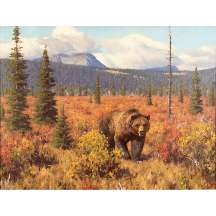Tucker Smith (1940-), The Bear