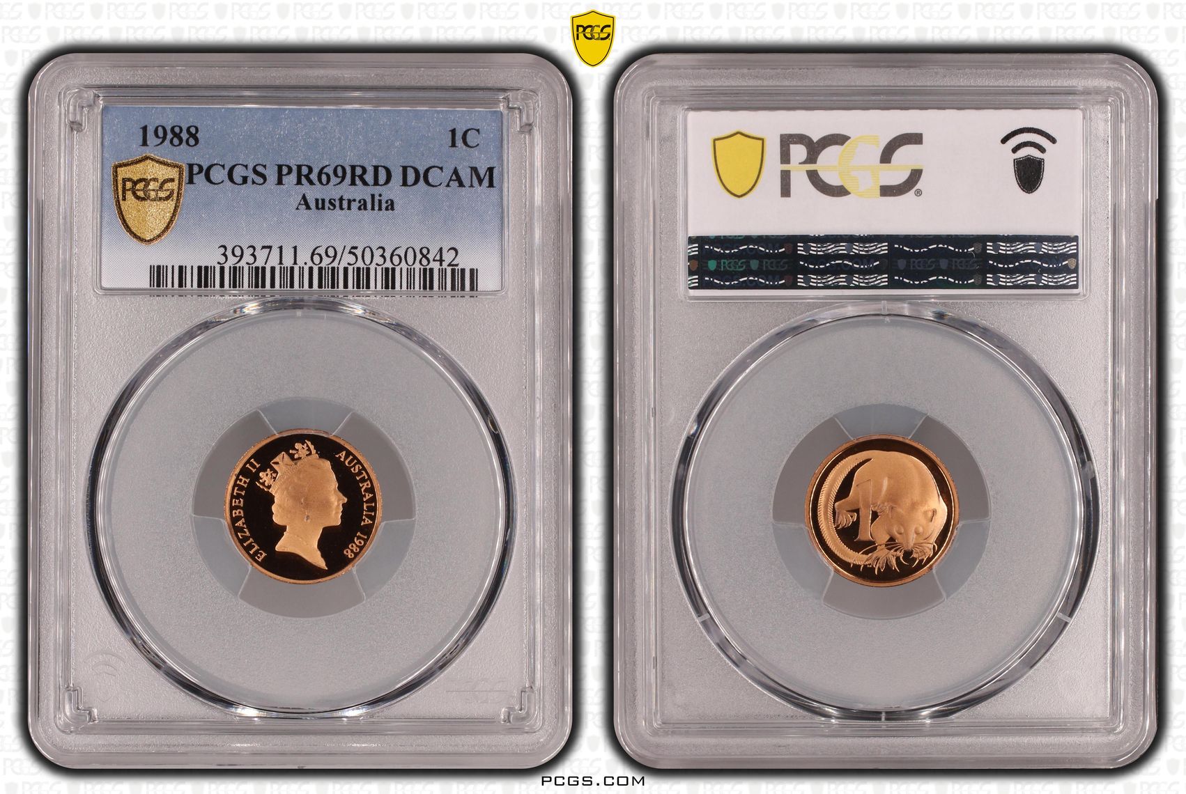 One Cent, 1988, Pcgs Pr69dcam