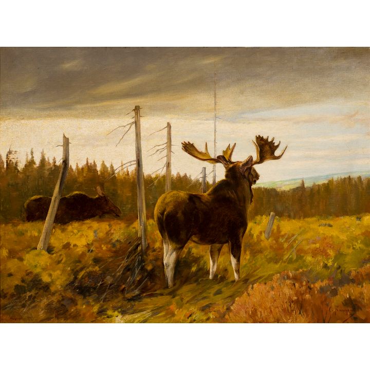 Carl Rungius (1869-1959), Moose and Mate