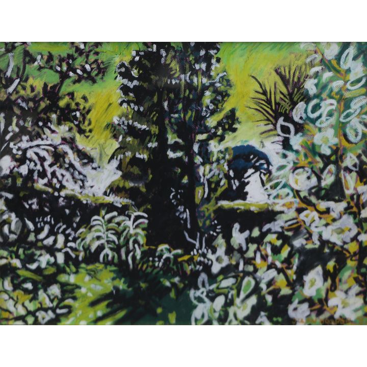 Julian Hooper, 'Foliage and Garden'