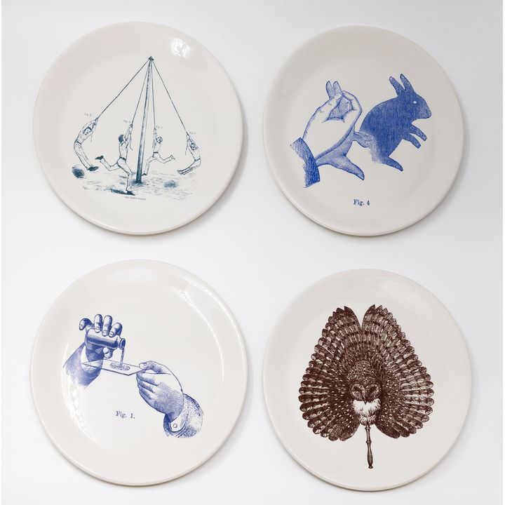 Fiona Pardington 'The Popular Creator'
