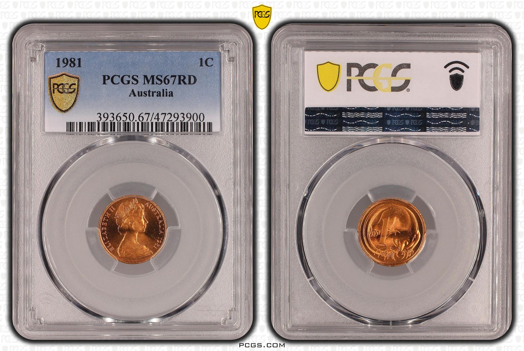 One Cent, 1981, PCGS MS 67RD