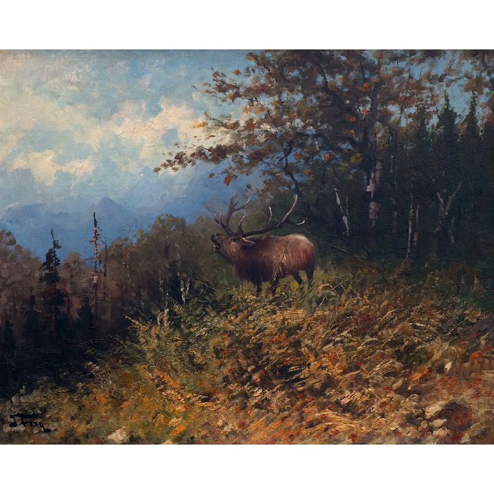 John Fery (1859–1934), Bugling Elk