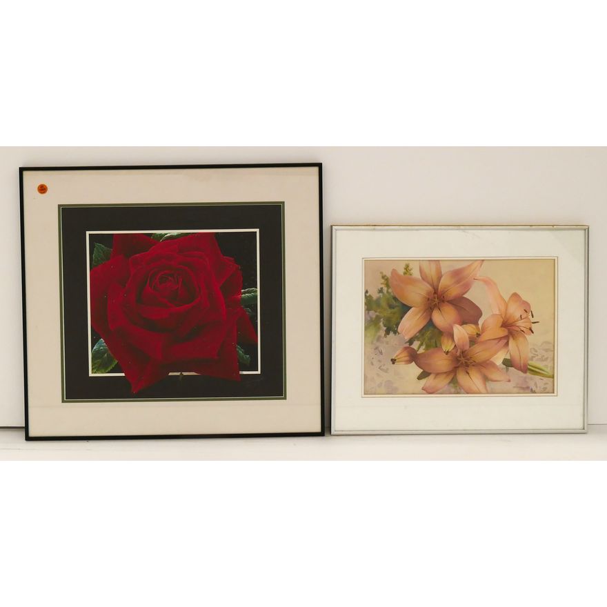 2pc Framed Floral Watercolors- Duane Lott Etc- largest 21x23''