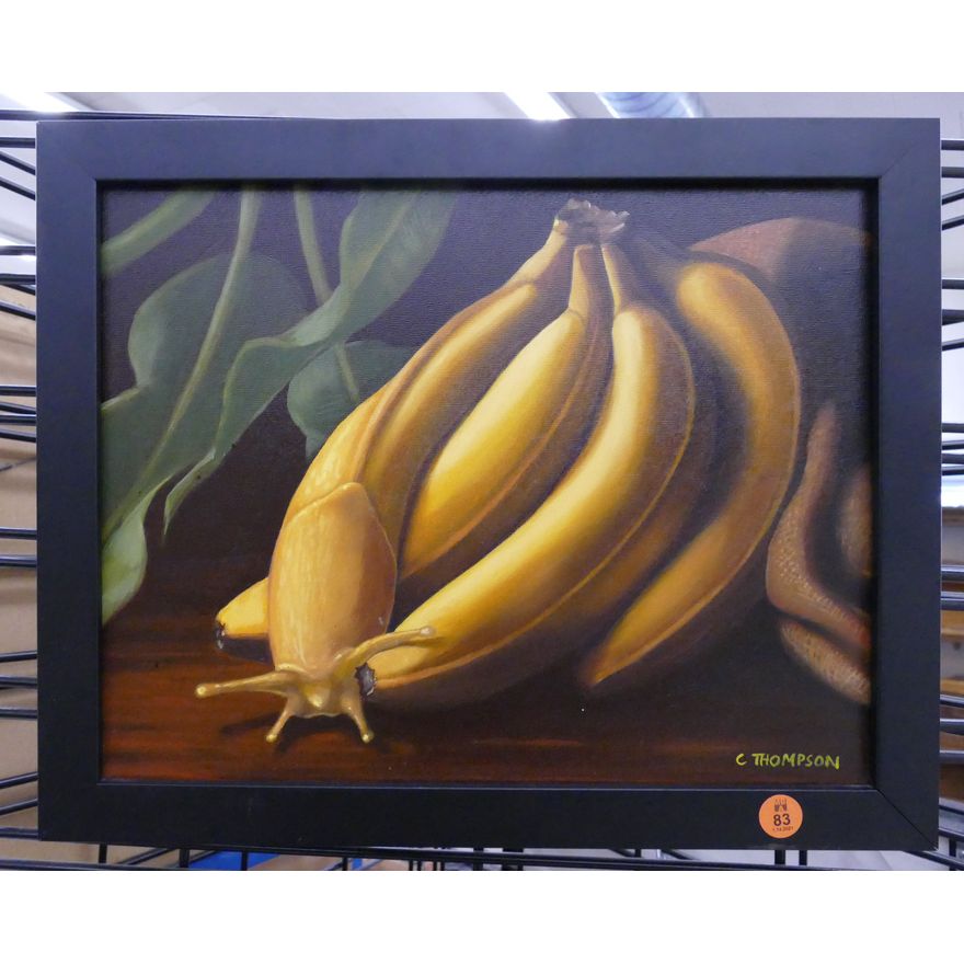 C. Thompson Banana Slug Oil Painting- 13x16'' framed
