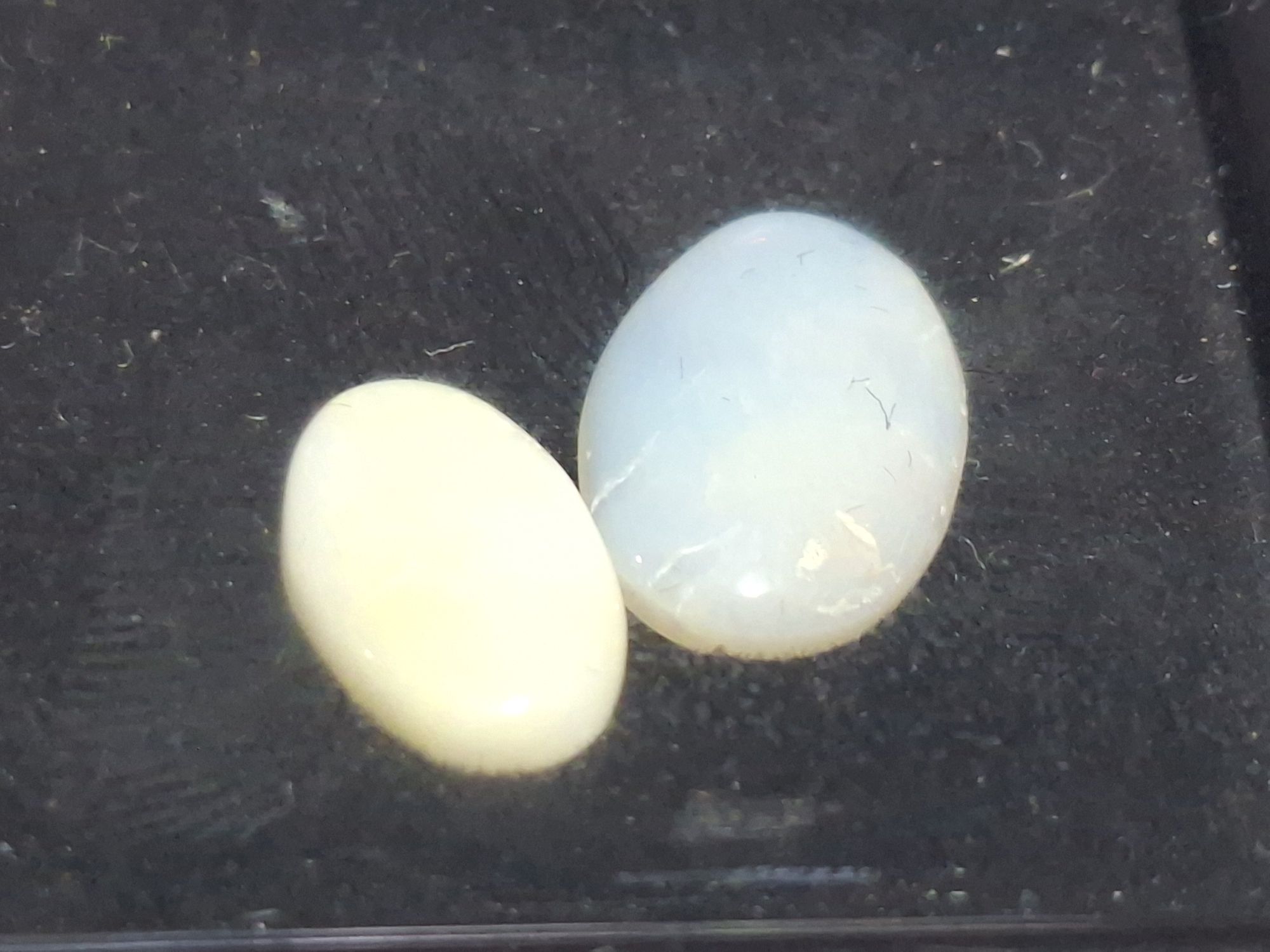 Loose Solid Opals
