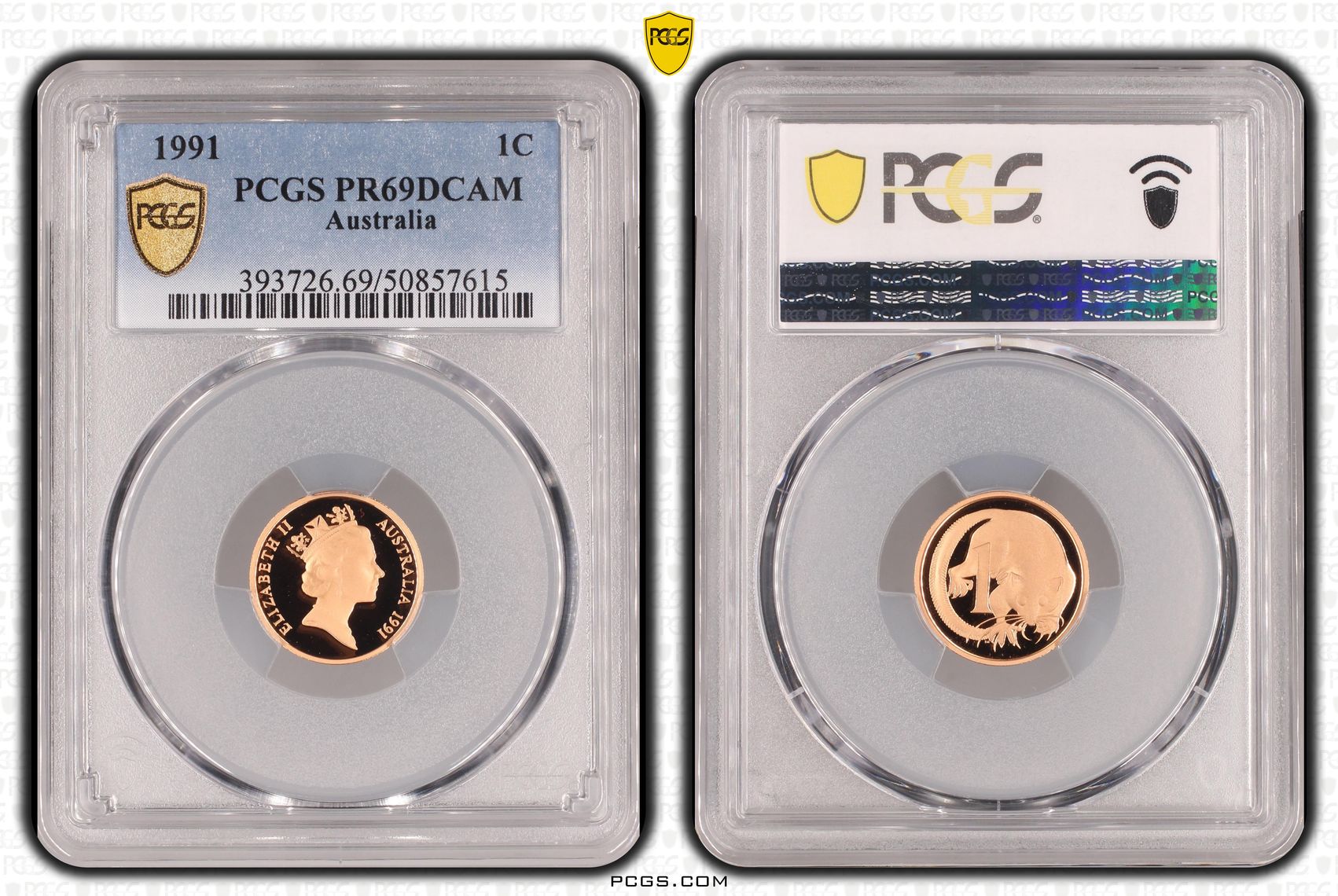 One Cent, 1991, Pcgs Pr69dcam