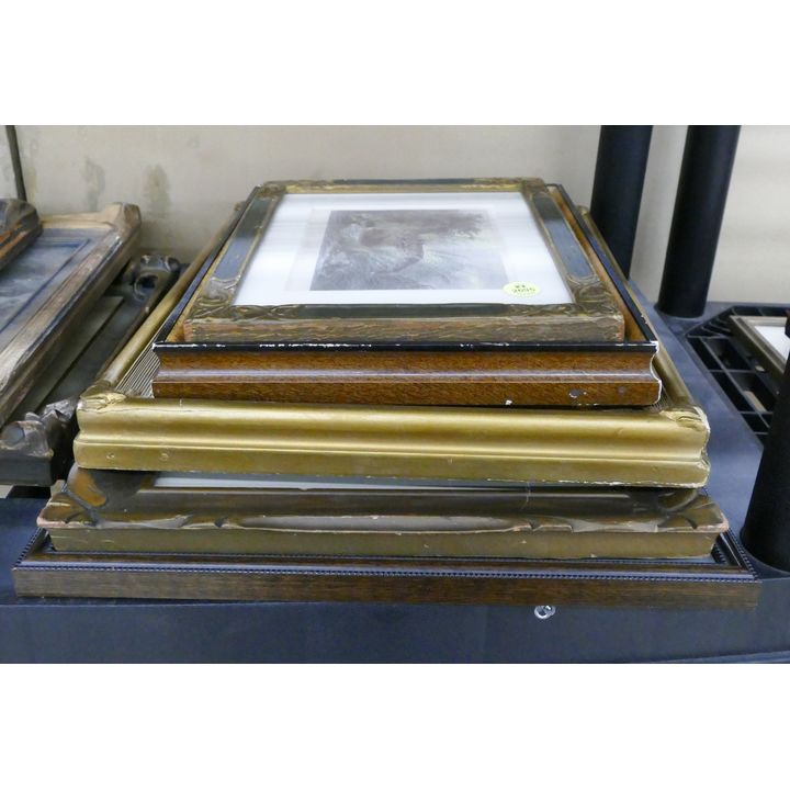 Stack 5pc Antique Framed Animal Engravings- largest 16x13''