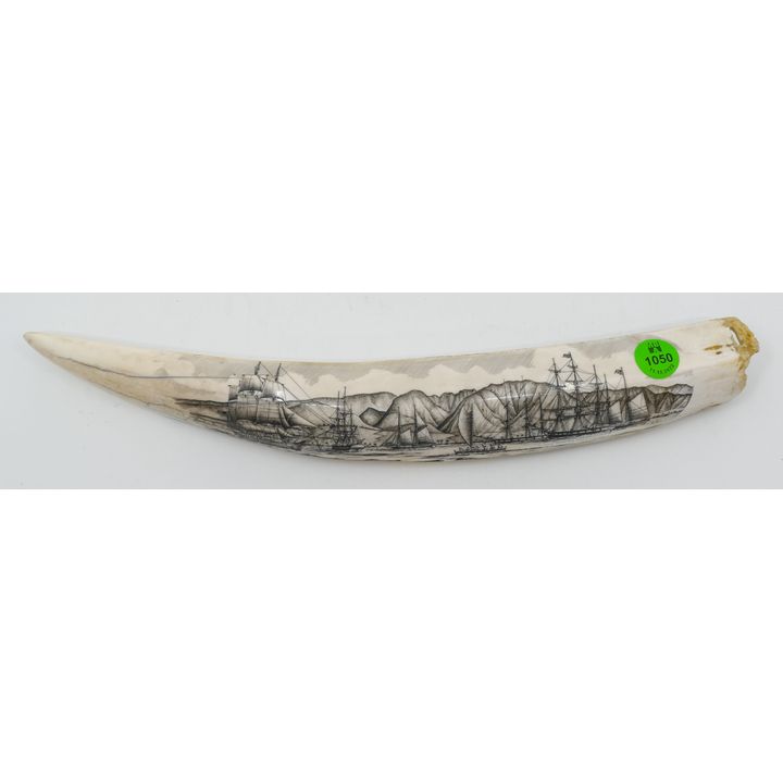 Ray Peters Maritime Scene with Natives Scrimshawed Tusk 13''
