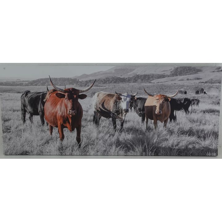 PHOTOGRAPHIC PRINT ON CANVAS