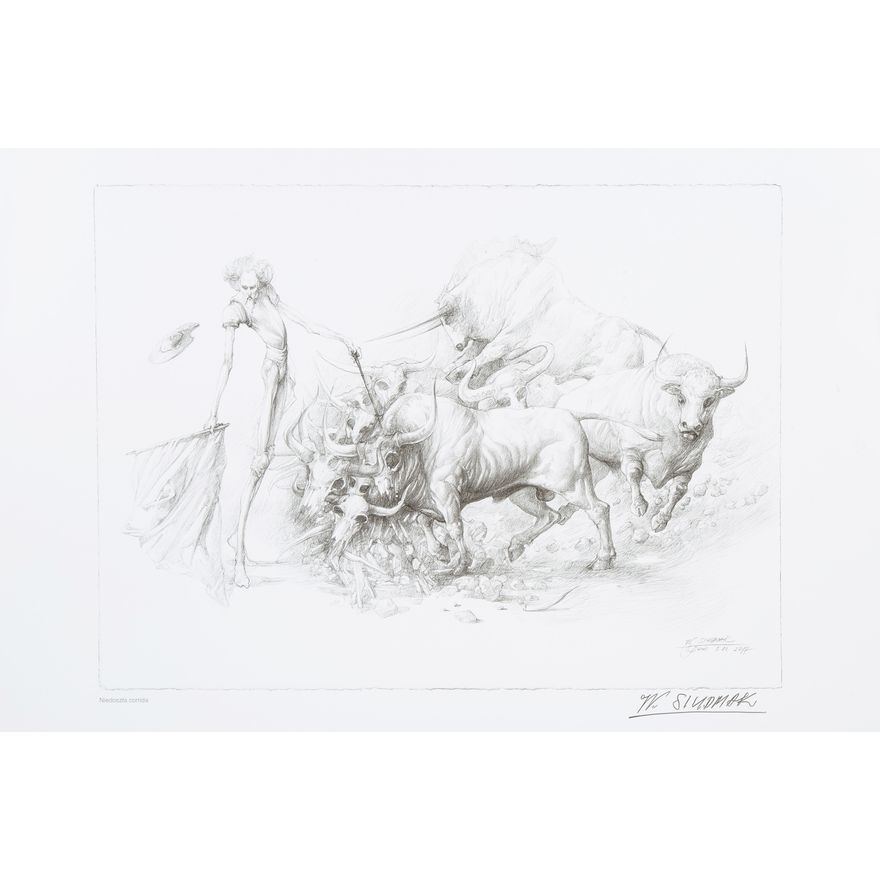 Wojtek Siudmak | Niedoszła corrida, 2017 r.