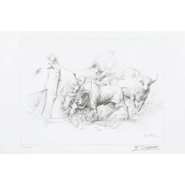Wojtek Siudmak | Niedoszła corrida, 2017 r.