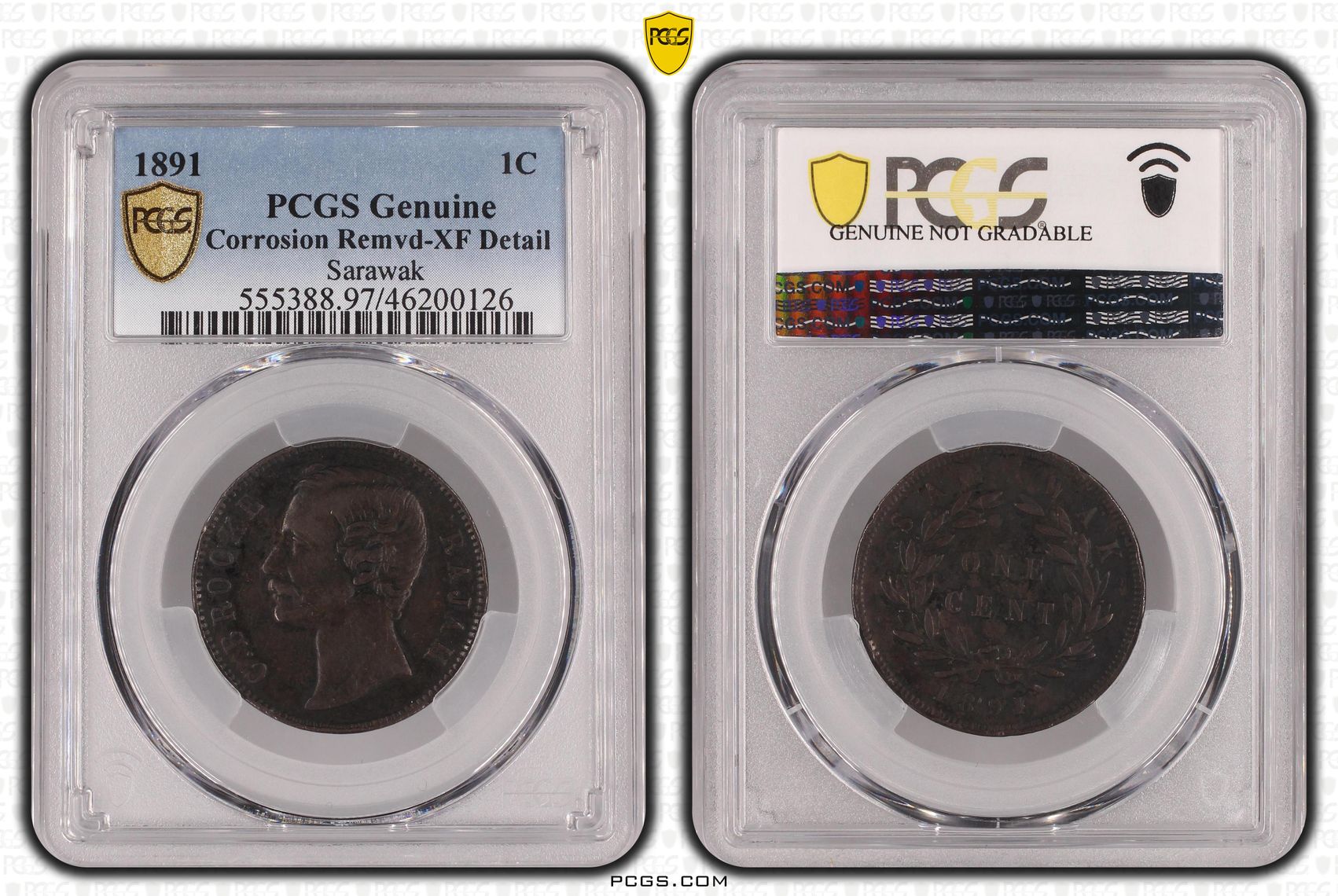Sarawak, One Cent, 1891, PCGS Genuine - XF Details (97 - Environmental Damage)