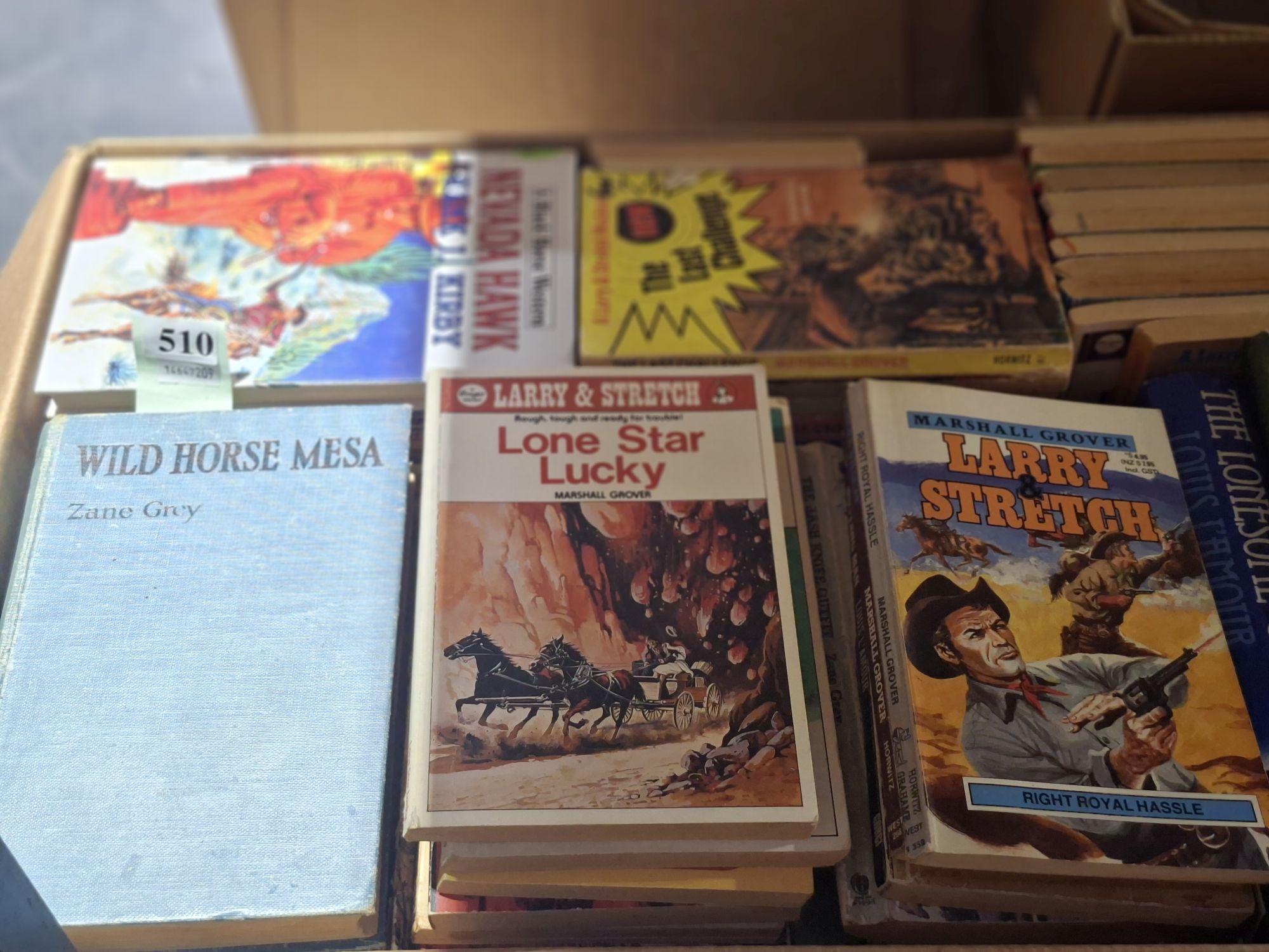 Western Novel Collection
