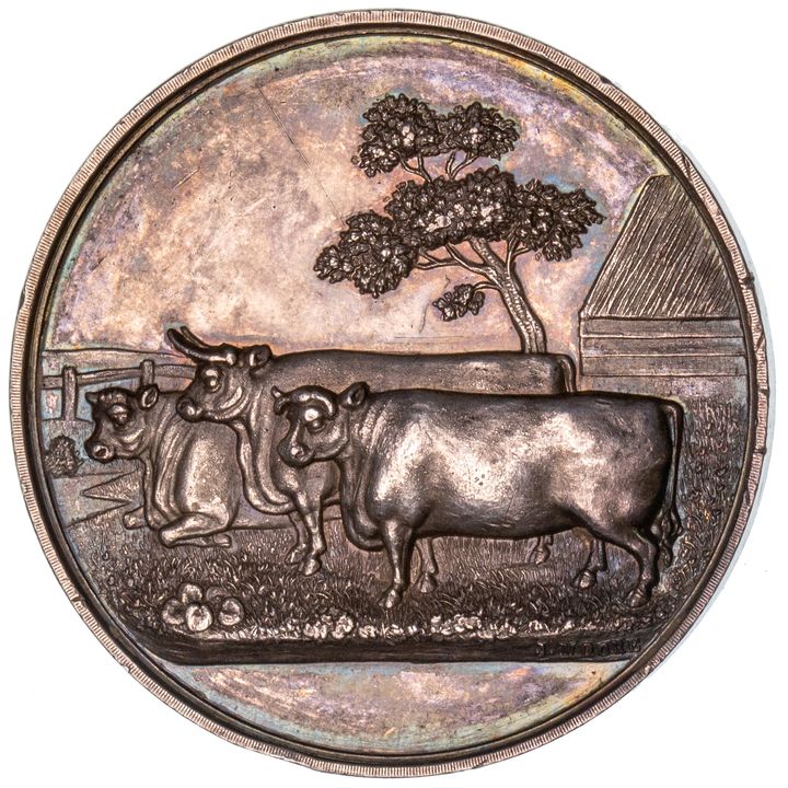 Rockhampton Show, 1879, EF
