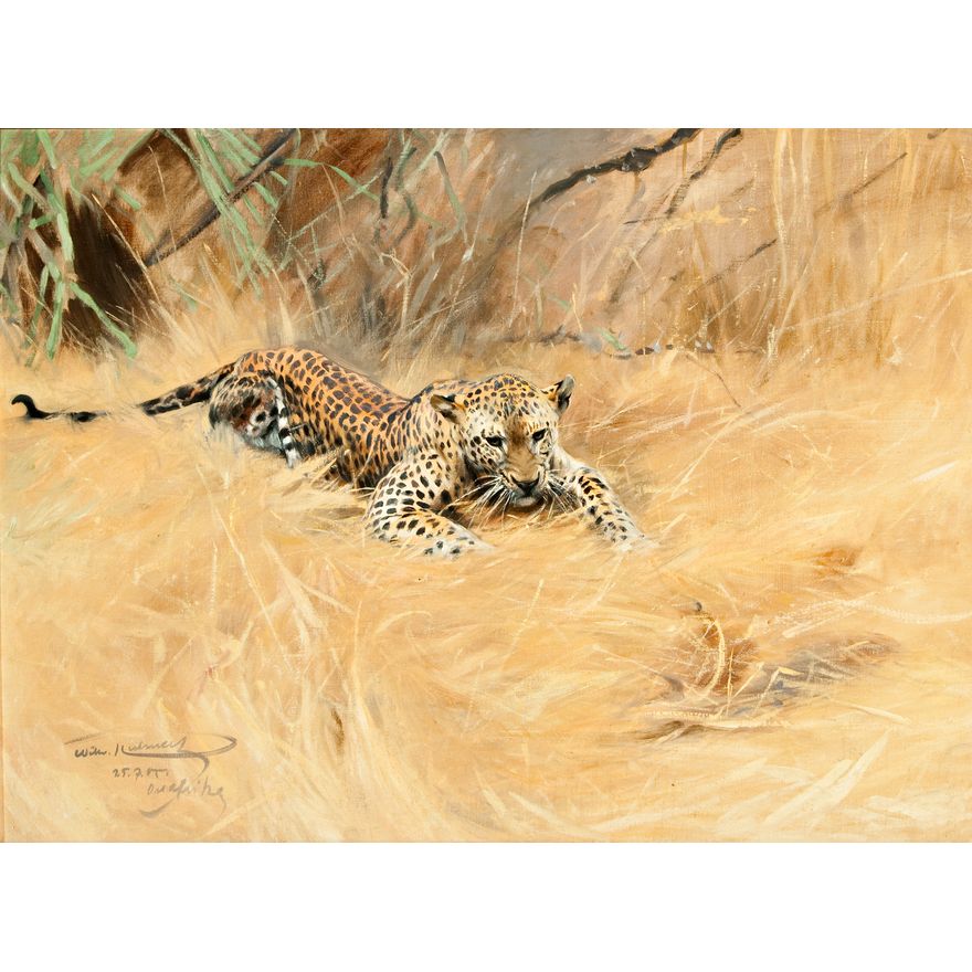 Wilhelm Kuhnert (1865-1926), Leopard