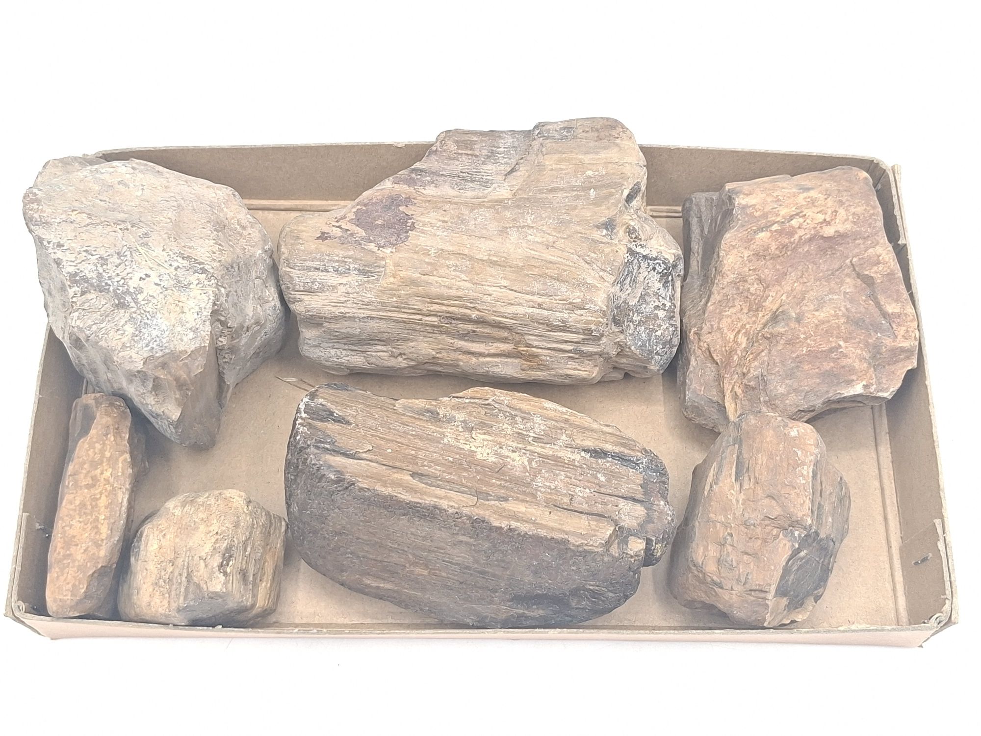 138 · FOUR KILOS FOSSIL PETRIFIED WOOD