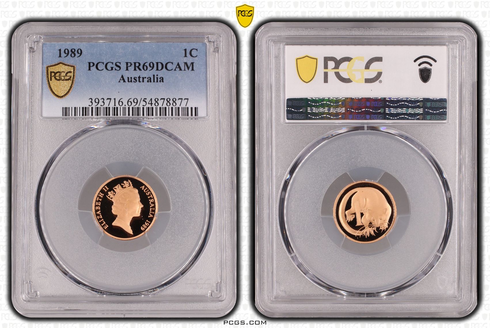 One Cent, 1989, Pcgs Pr69dcam