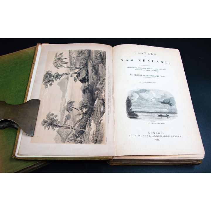 Ernest Deiffenbach 'Travels in New Zealand'