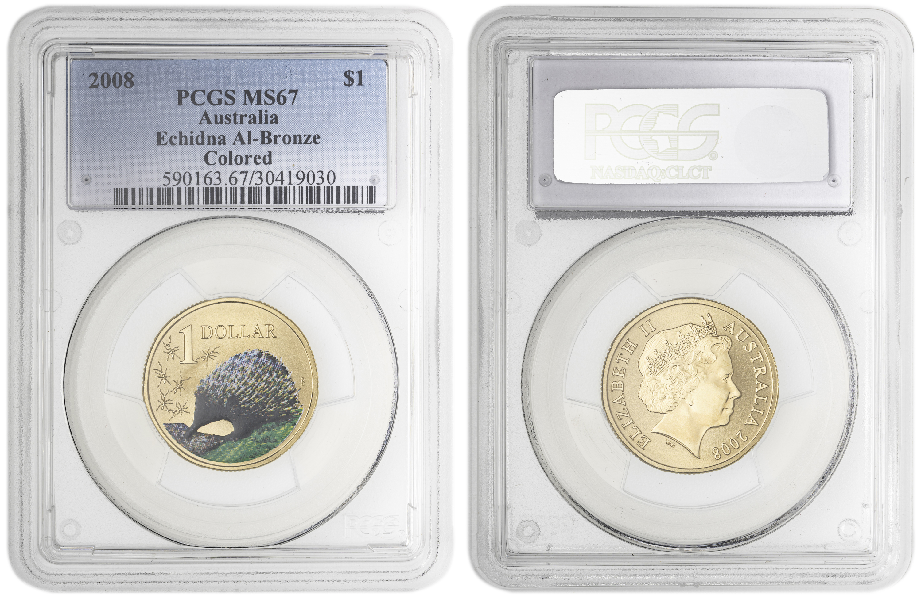 Echidna Al-Bronze Colorized , One Dollar, 2008, PCGS MS67