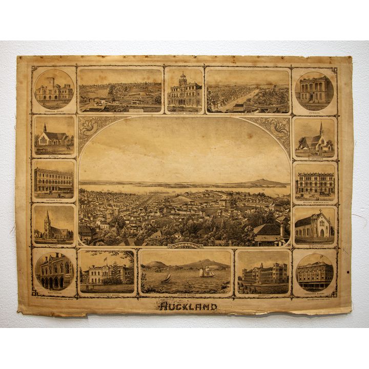 Auckland Lithograph 1877
