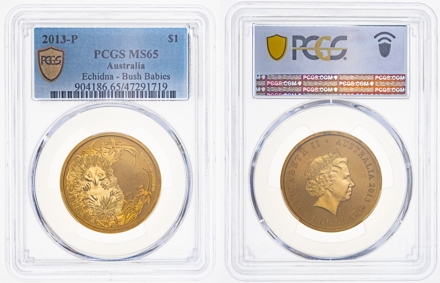 Echidna - Bush Babies, One Dollar, 2013-P, PCGS MS 65