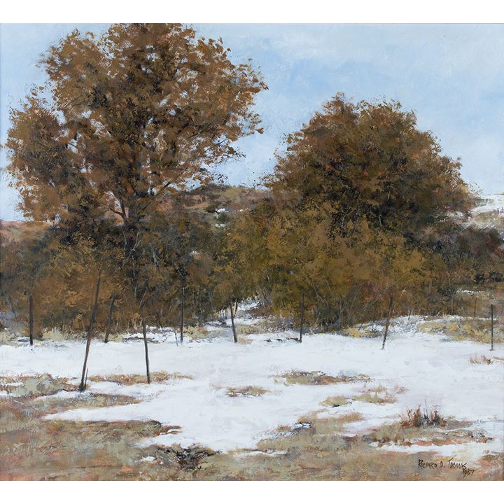 Richard D. Thomas (1939- ), First Snow