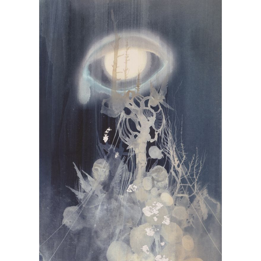 Darren Waterston ''Tower Eye'' 2007 Pigment Print