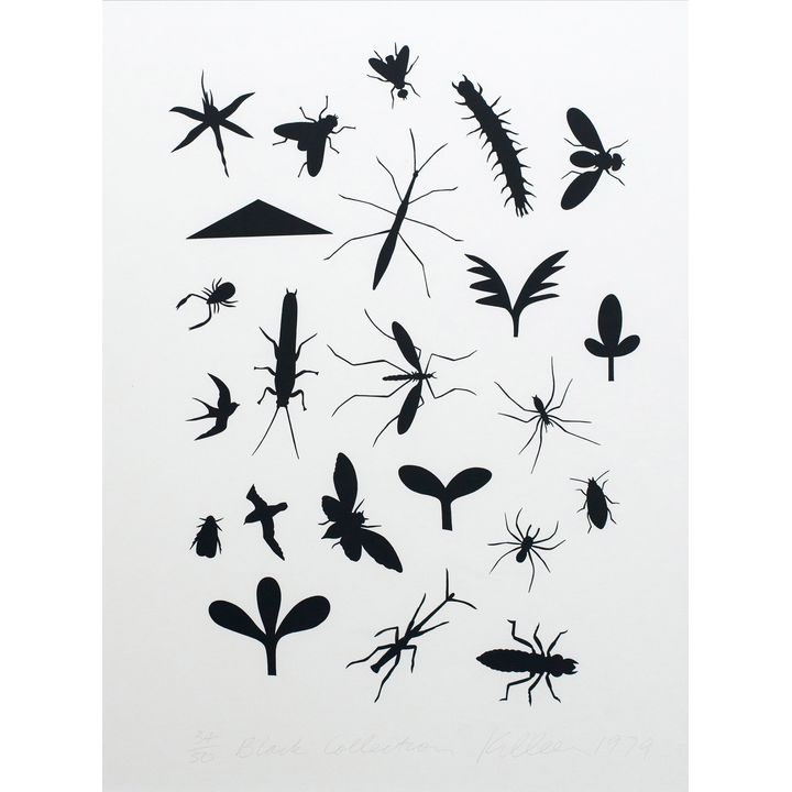 Richard Killeen 'Black Collection'
