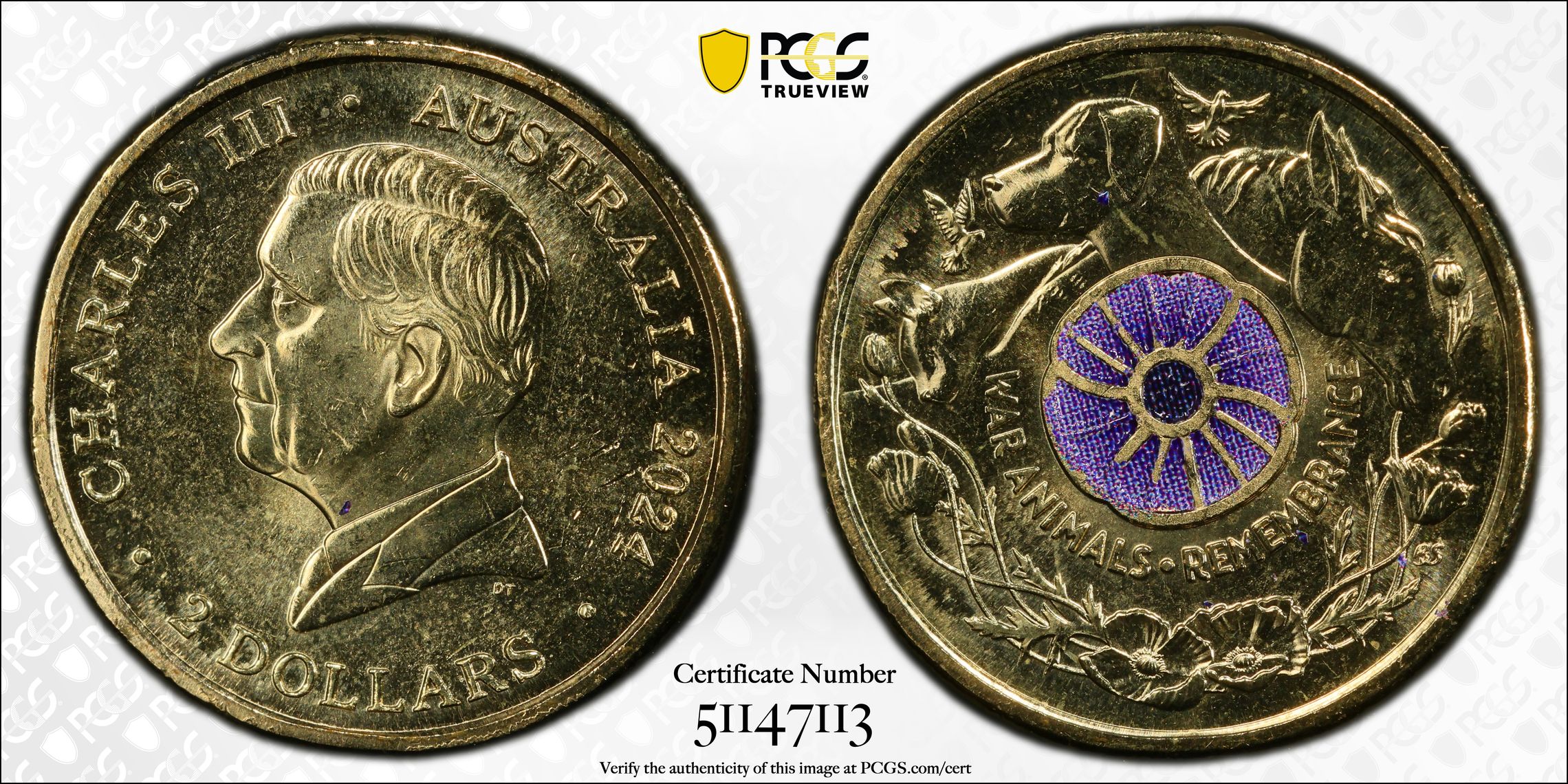 War Animal Remembrance Colorized, Two Dollar, 2024, PCGS MS65