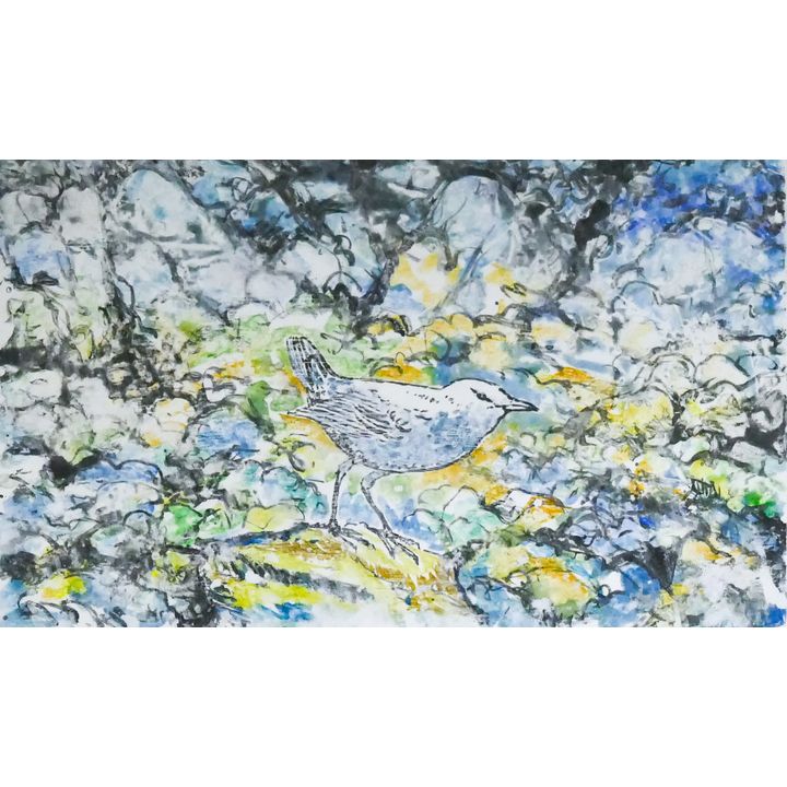 Neil Meitzler ''Bird on the Rocks'' Monotype Mated 16''x20''