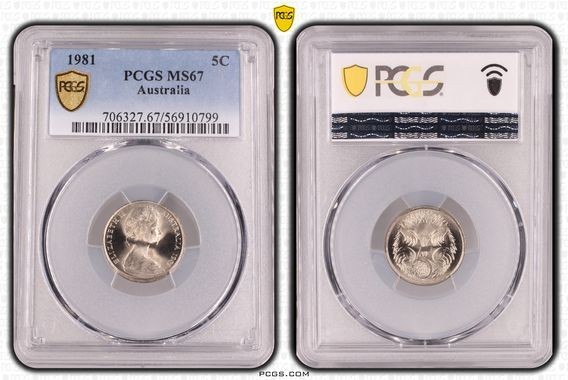Five Cent, 1981, PCGS MS67