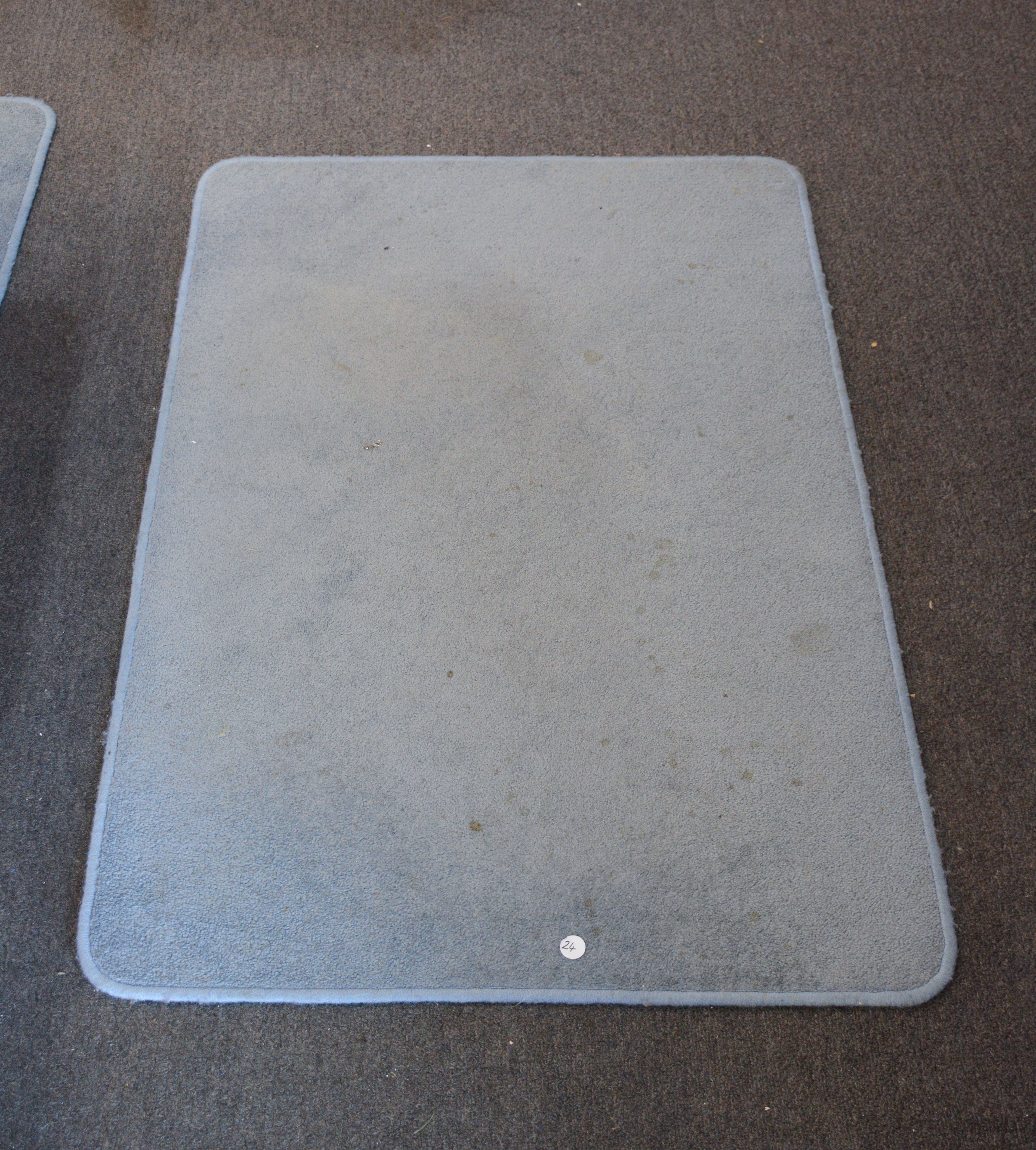 Blue Floor Mat — NZ auction result