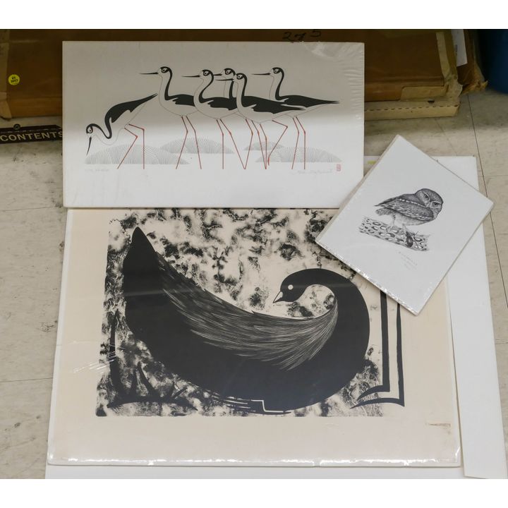 Stack S/N Bird Prints & Empty Portfolios- 100+ Pieces