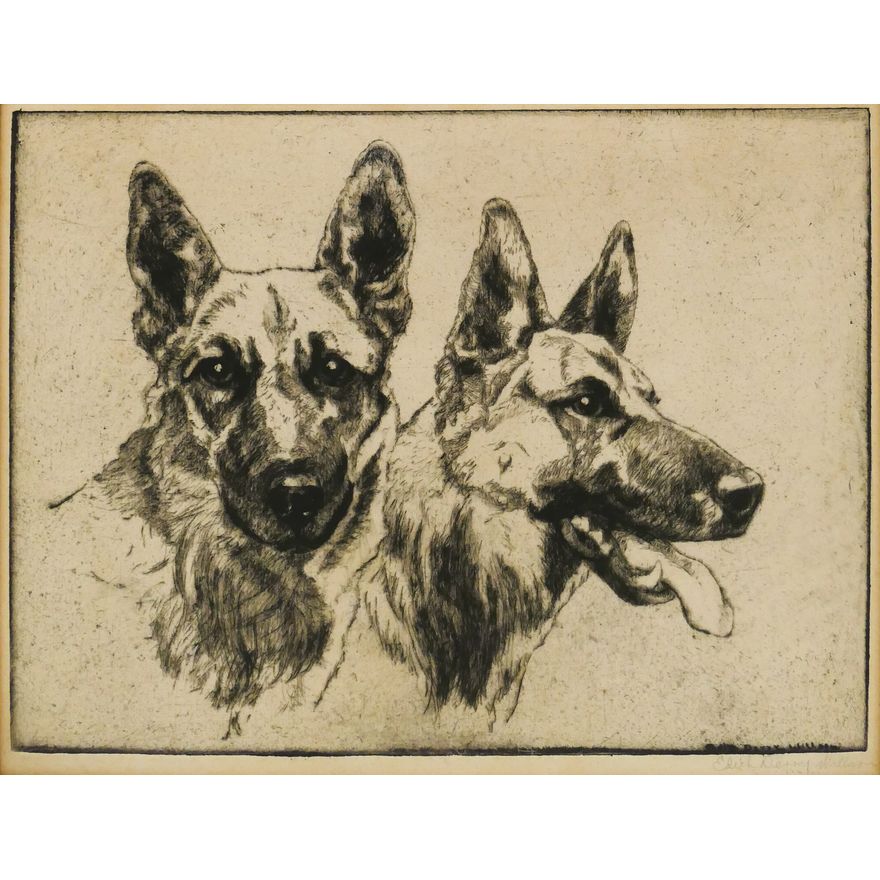 Edith Derry Wilson 'A Pair of Aces' (German Shepherd Dogs) Etching, c.1930's.