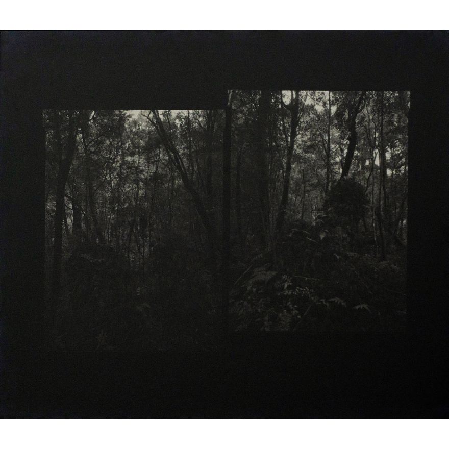 Mark Adams 'Dusky Sound'
