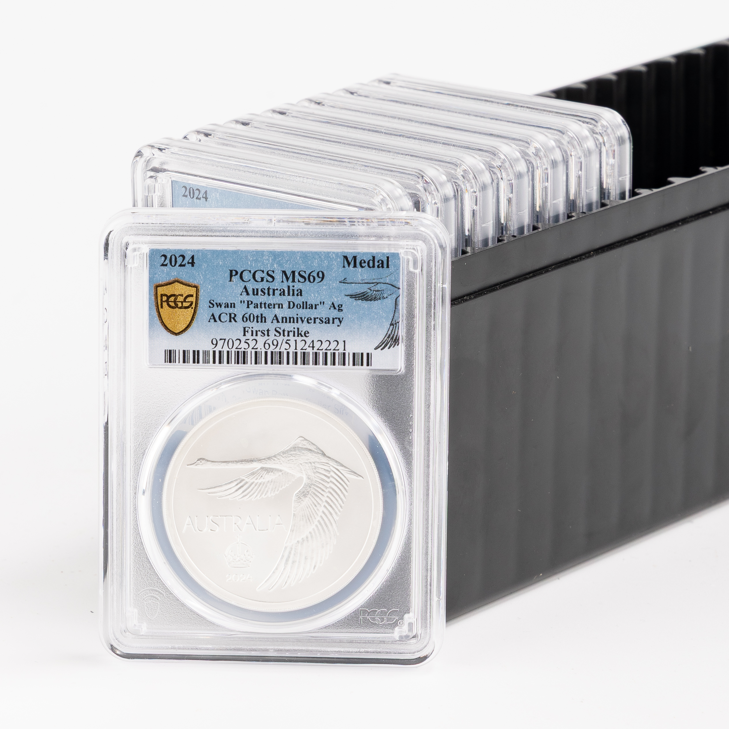 379 · Group of 8 ACR Swan Pattern Dollar Silver Unc, Crown, 2024, PCGS MS69