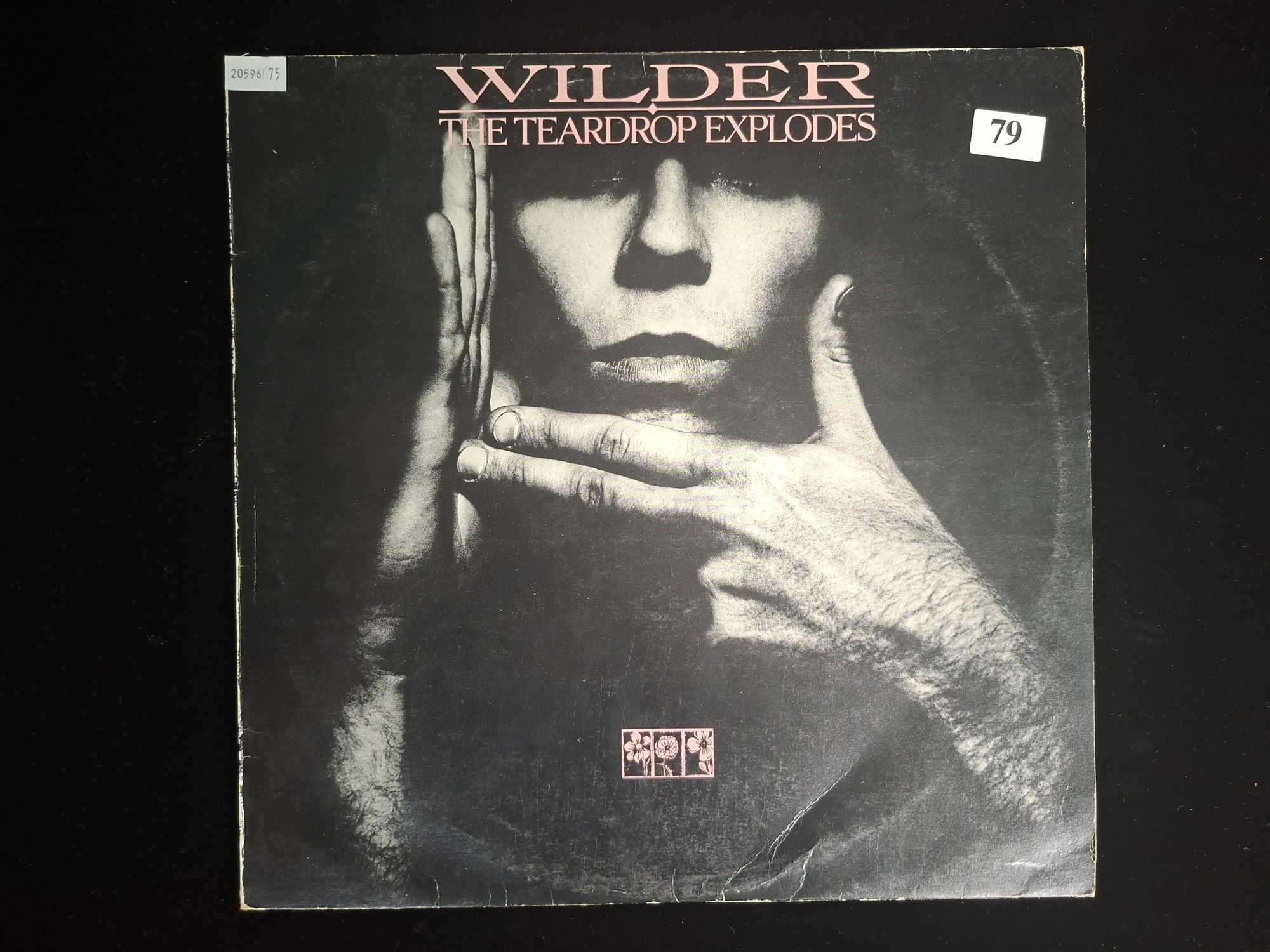 The Teardrop Explodes