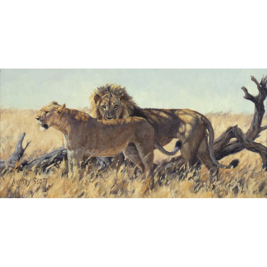 Lindsay Scott (1955- ): Back Country Romance