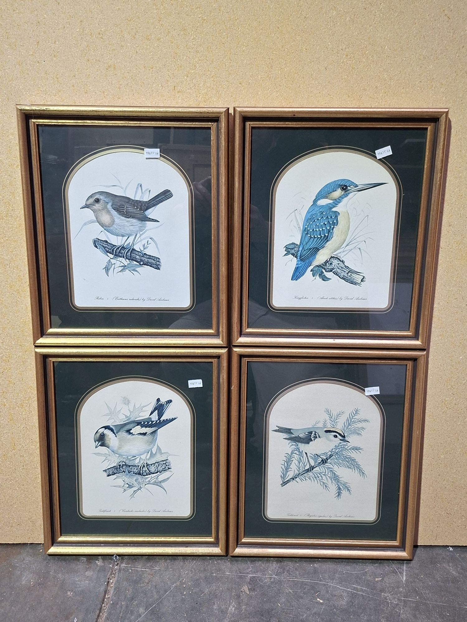 Bird Prints
